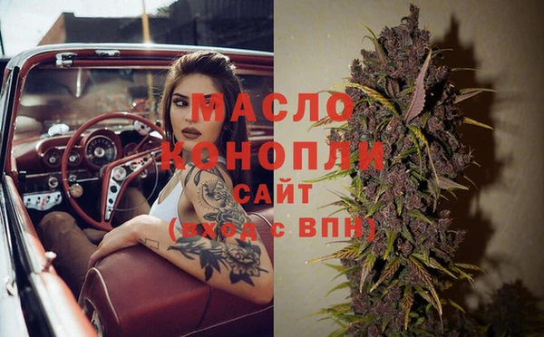 ешки Бородино