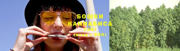 ешки Бородино