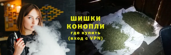 ешки Бородино
