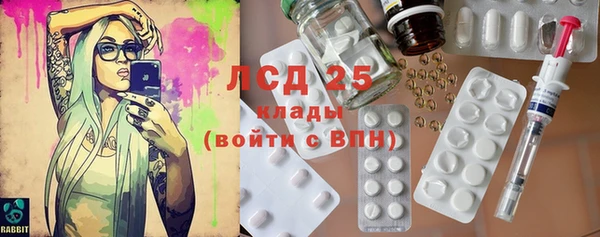 ешки Бородино