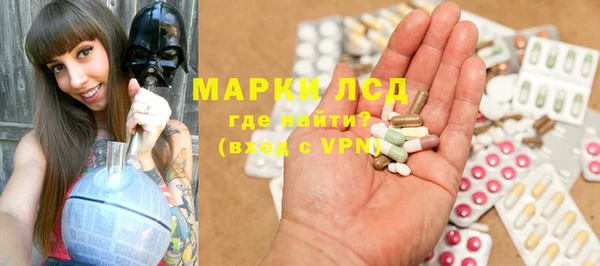 ешки Бородино