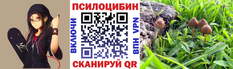 Галлюциногенные грибы прущие грибы  Острогожск 
